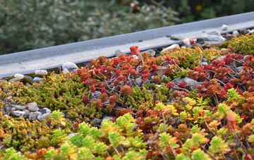 the cost of Wester Hailes green roof installation