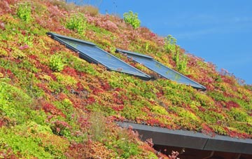 Wester Hailes living roof systems