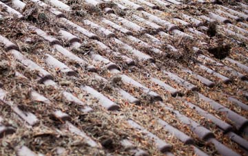 Wester Hailes roof cleaning companies