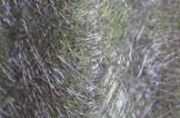 Wester Hailes fibreglass roof work